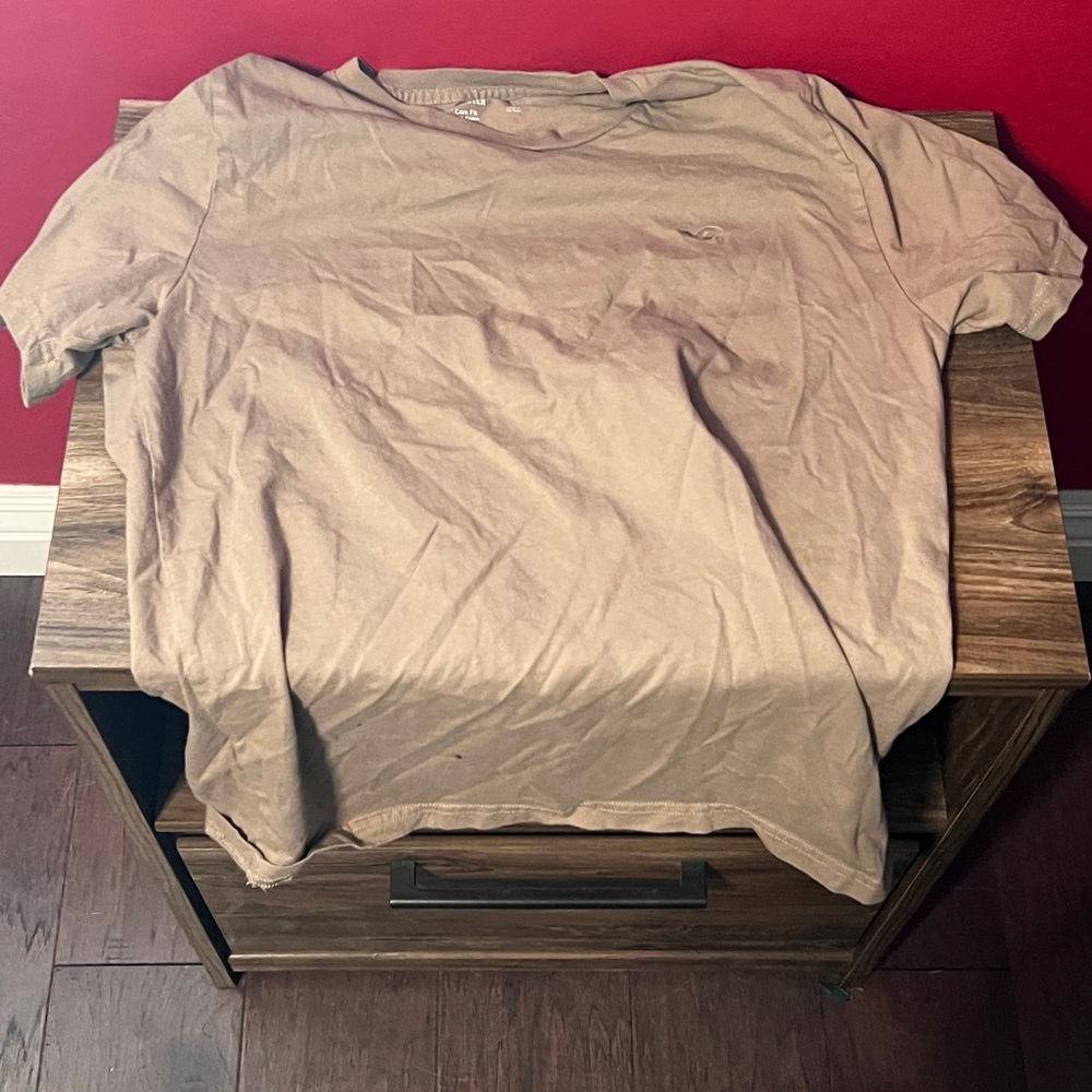 Hollister Tan Short Sleeve Tee